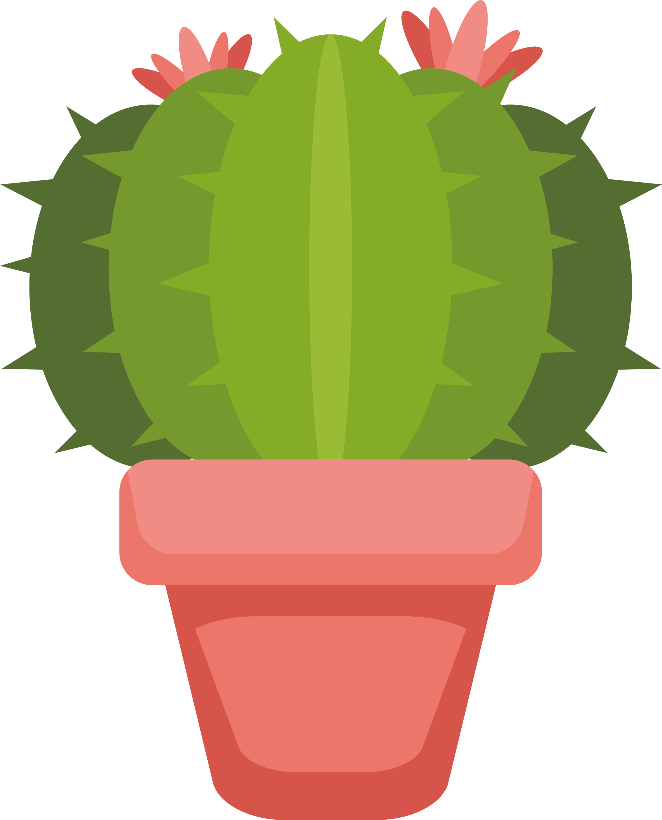 Tropical Plant Cactus Vector Free HQ Image PNG Image