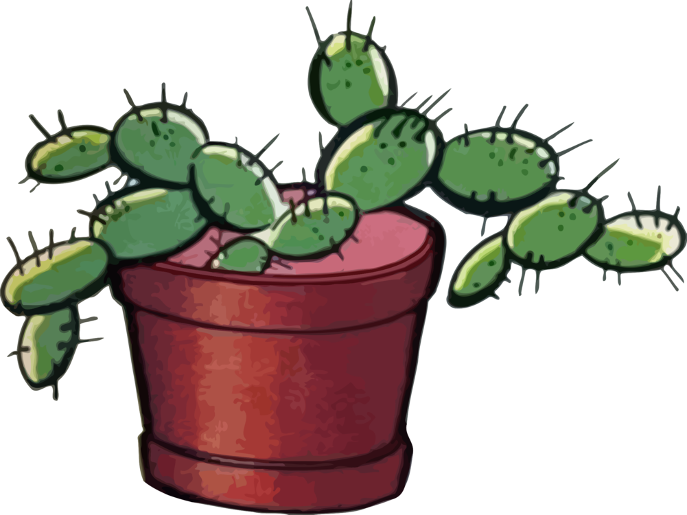 Cactus Prickle Download HD PNG Image