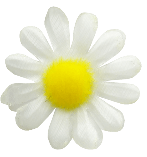 Camomile Png Image PNG Image