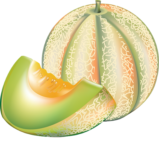 Cantaloupe Free Download PNG HQ PNG Image