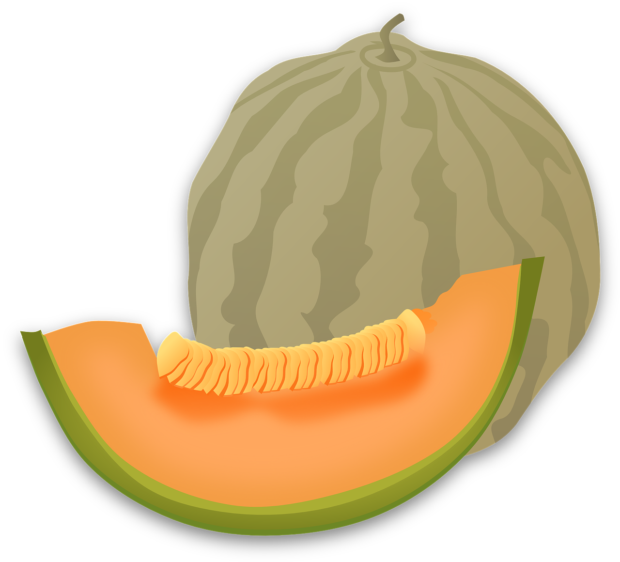Cantaloupe Slices Free Download PNG HD PNG Image