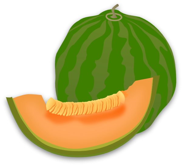 Cantaloupe Slices Free Download Image PNG Image