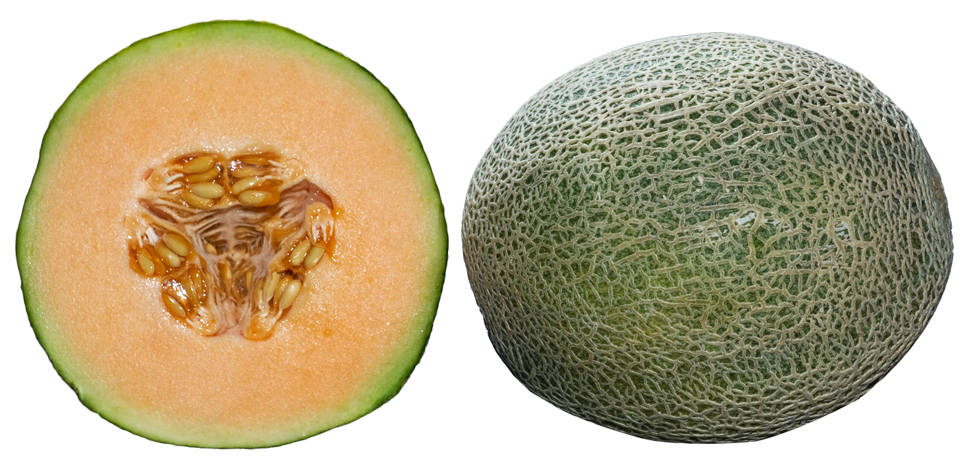 Fresh Cantaloupe Download Free Image PNG Image