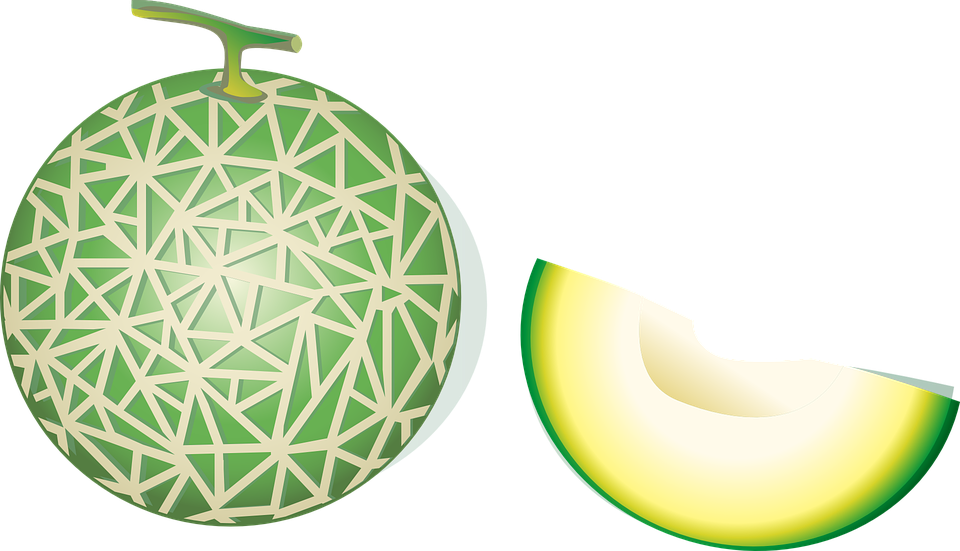 Cantaloupe Green Free Clipart HQ PNG Image