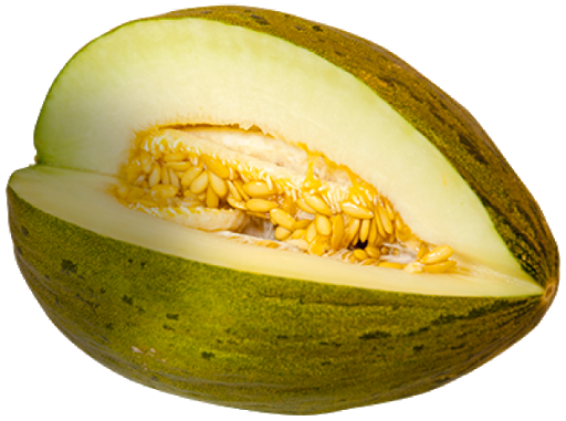 Cantaloupe Green PNG Download Free PNG Image