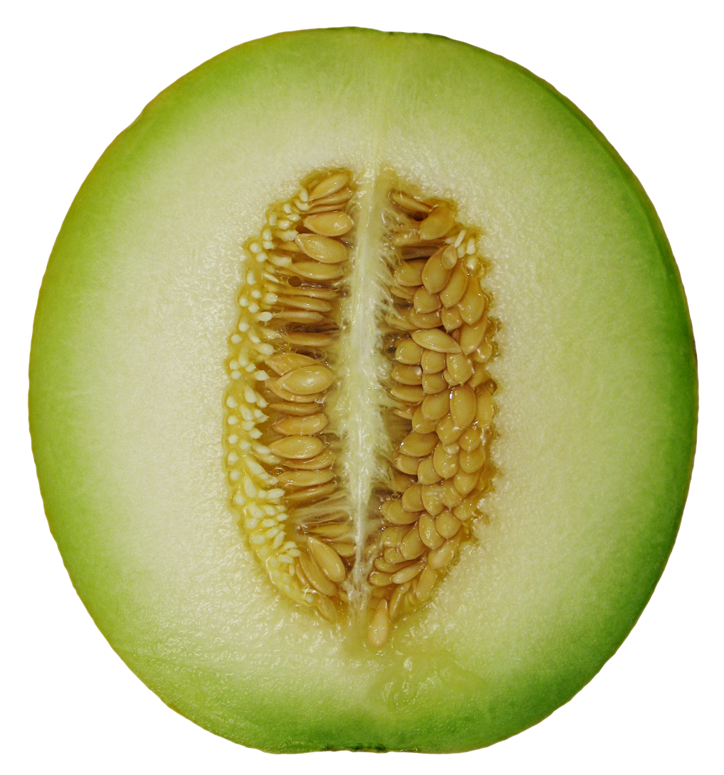 Cantaloupe Half Free Download PNG HQ PNG Image