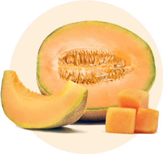 Cantaloupe Slice Download Free Image PNG Image