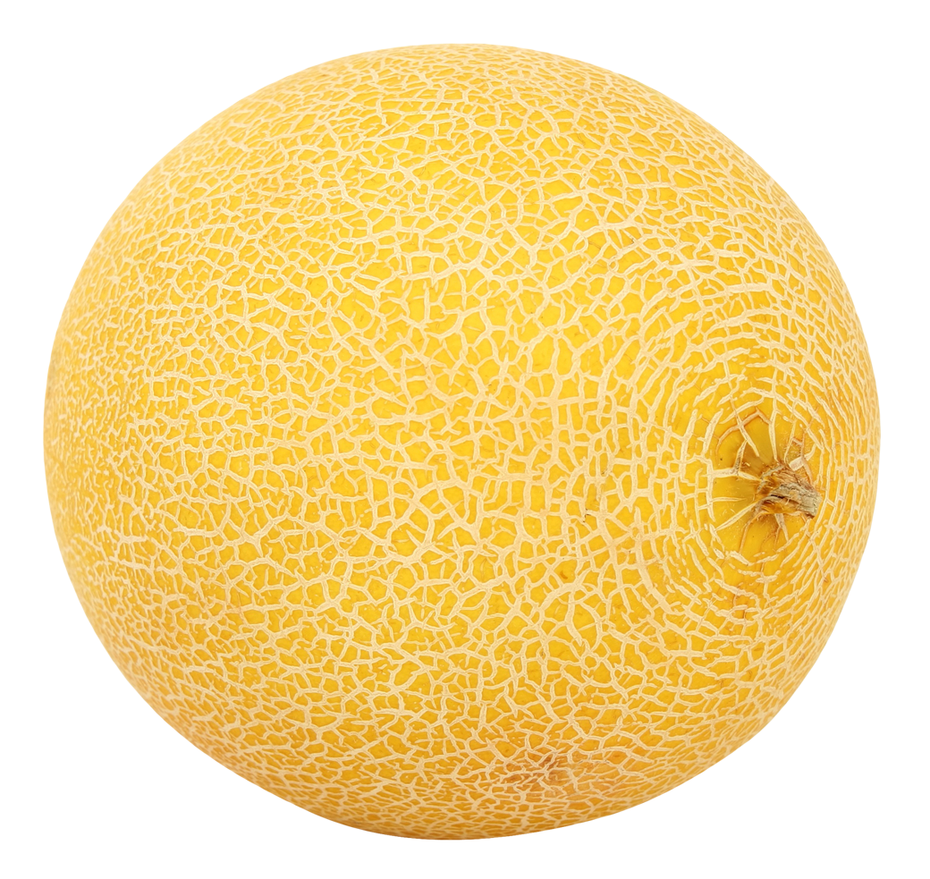 Cantaloupe Yellow Free Clipart HD PNG Image