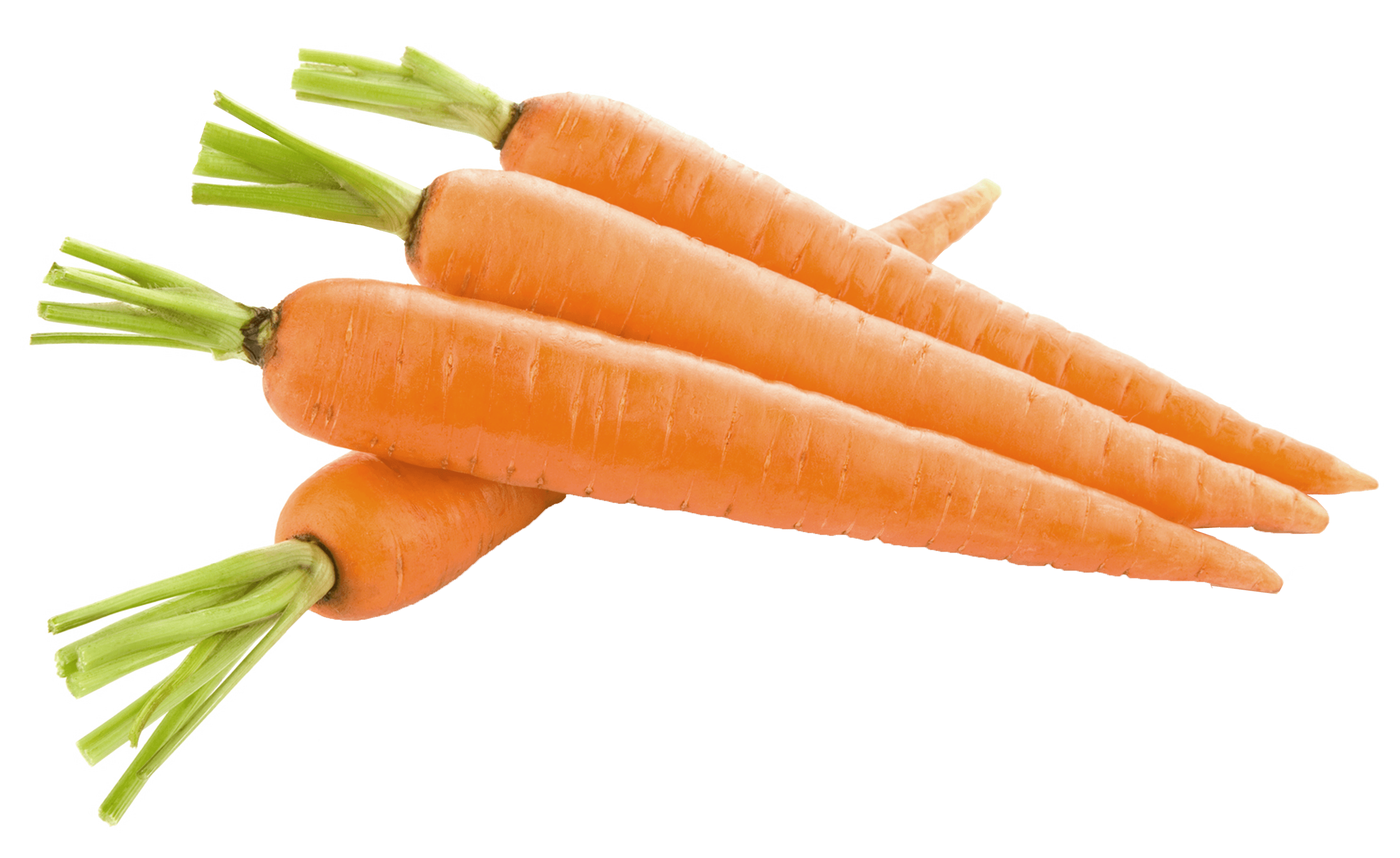 Carrot Png Image PNG Image