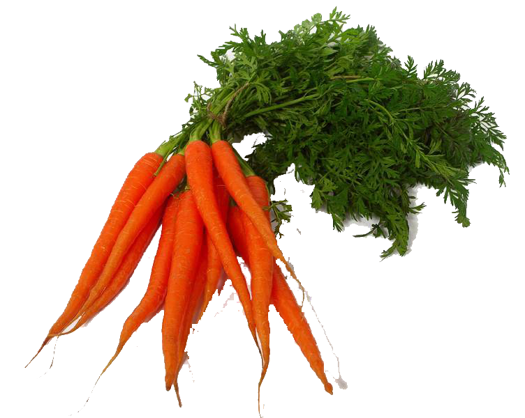 Carrot Png Clipart PNG Image