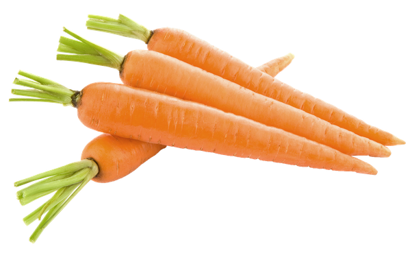 Carrot Slices Free Download PNG HQ Transparent PNG Image