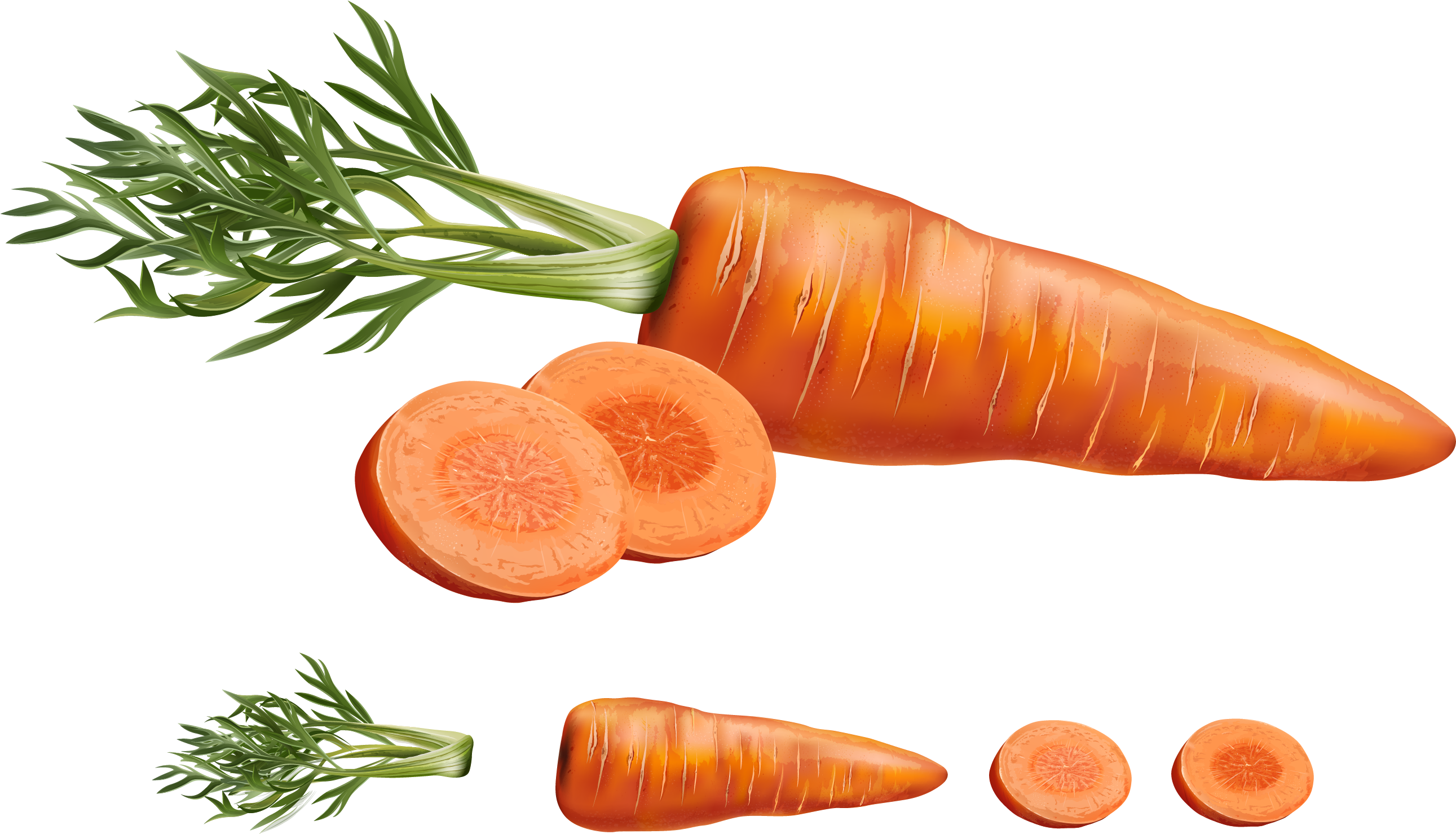Slice Carrot Slices PNG Image High Quality PNG Image