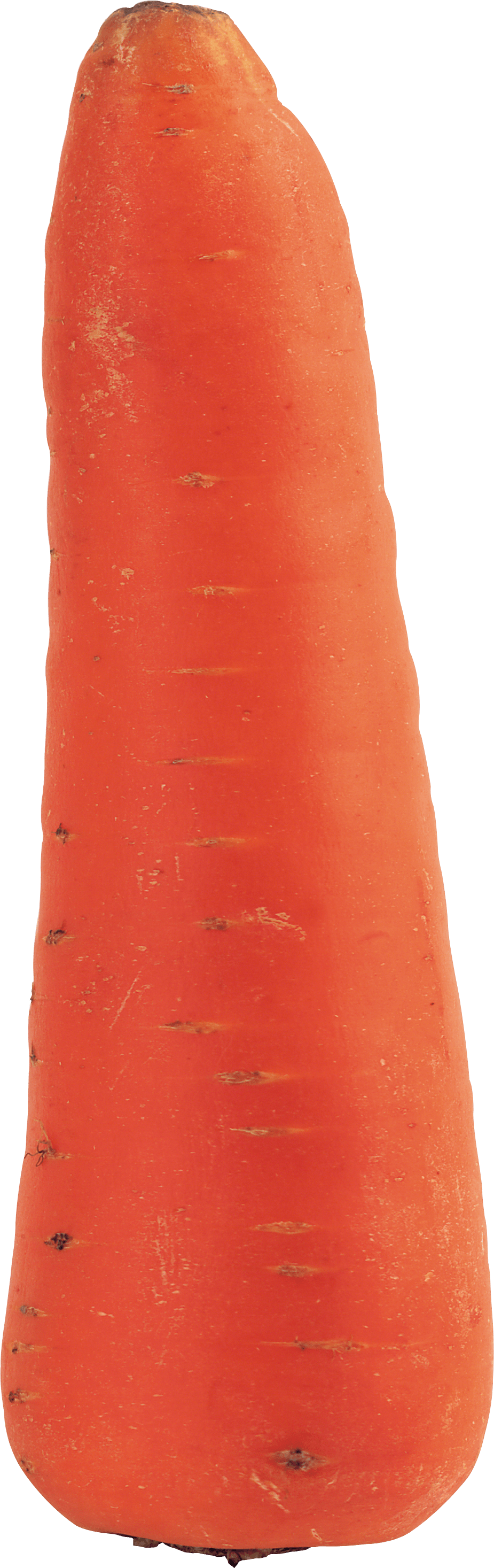 Carrot Png Image PNG Image