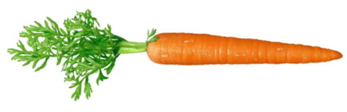 Carrot Png Pic PNG Image