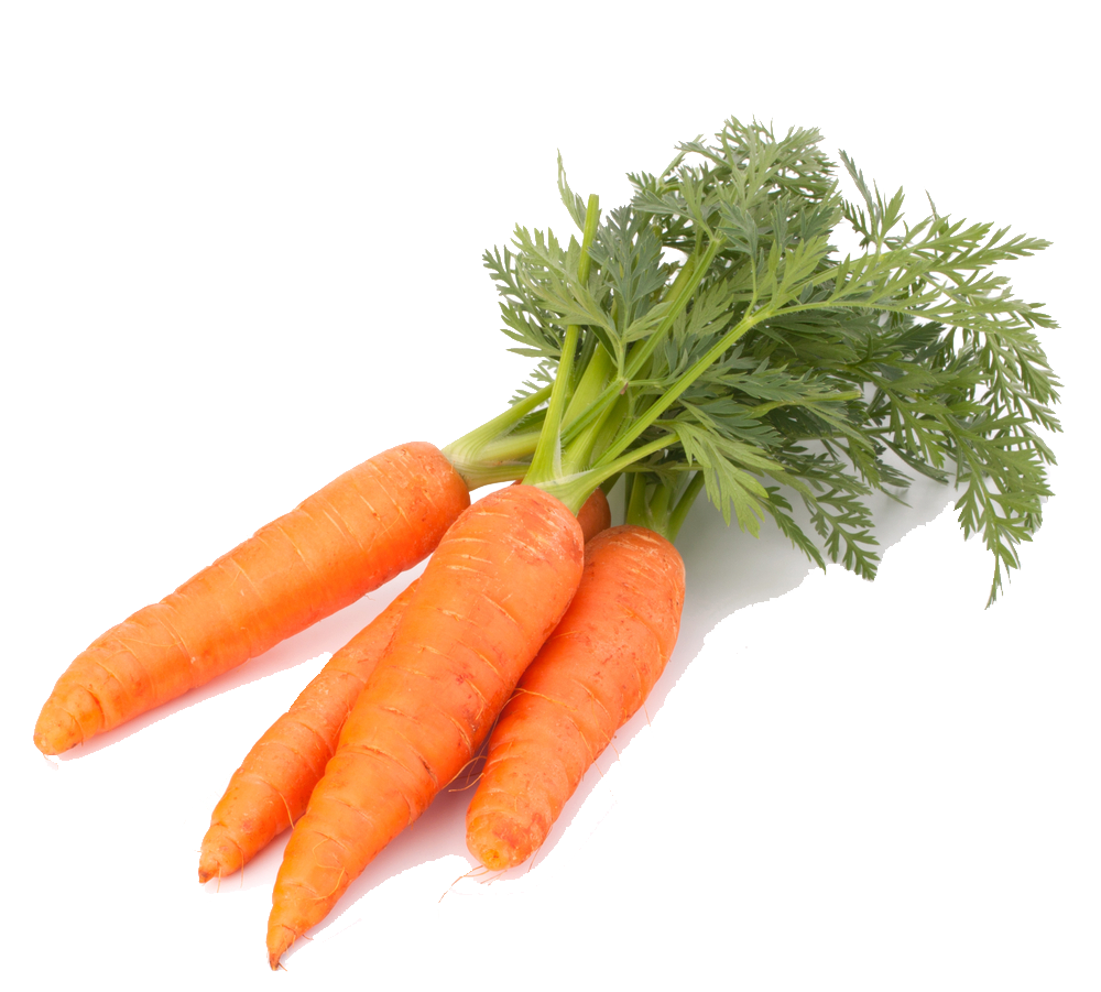 Carrot Png PNG Image