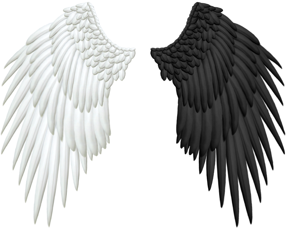 Half Wings PNG Free Photo PNG Image