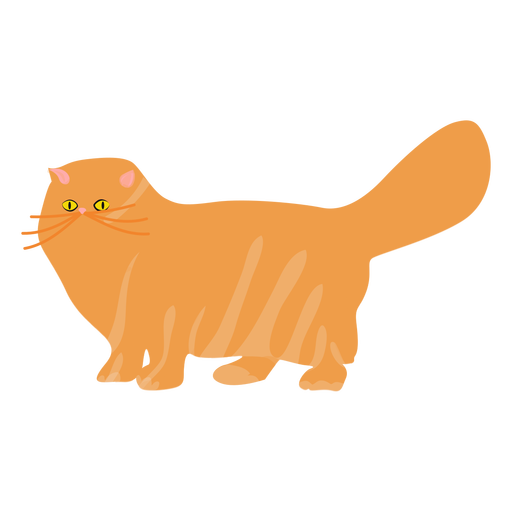 Vector Cat Free Transparent Image HD PNG Image