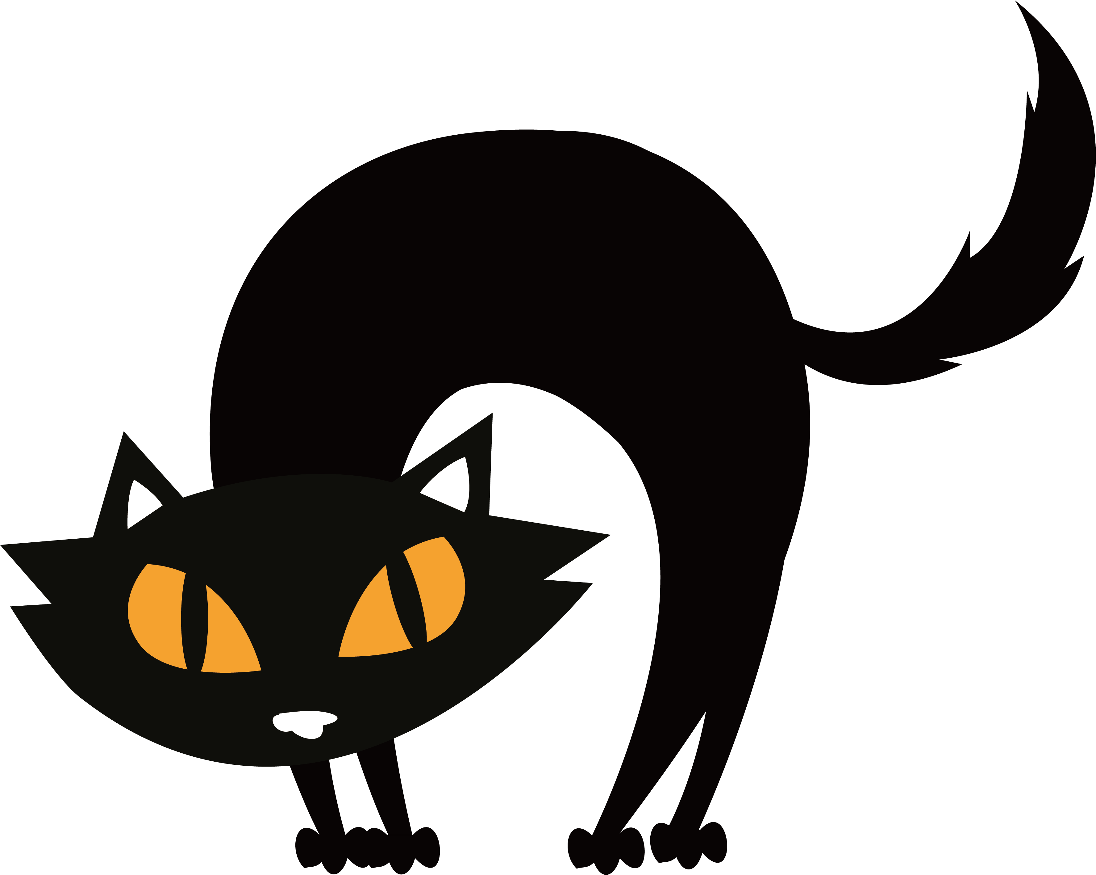 Vector Halloween Cat HD Image Free PNG Image
