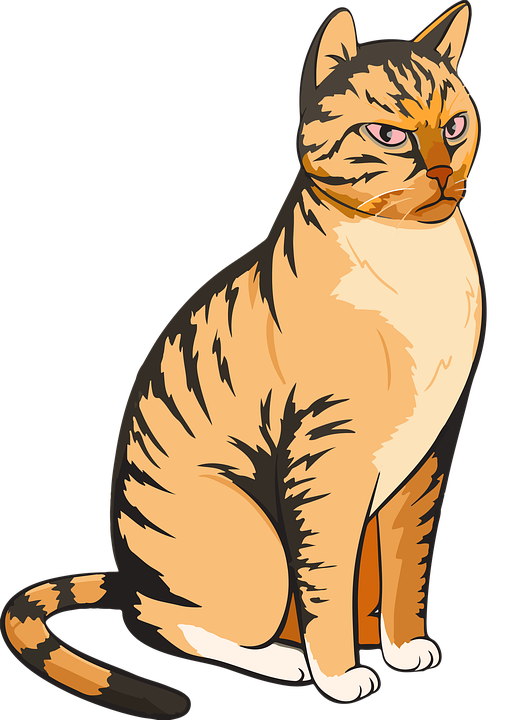 Wild Vector Cat PNG Image High Quality PNG Image