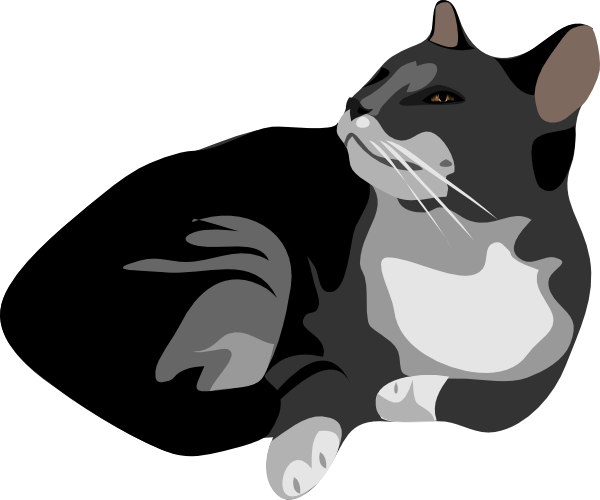 Wild Vector Cat Download HQ PNG Image