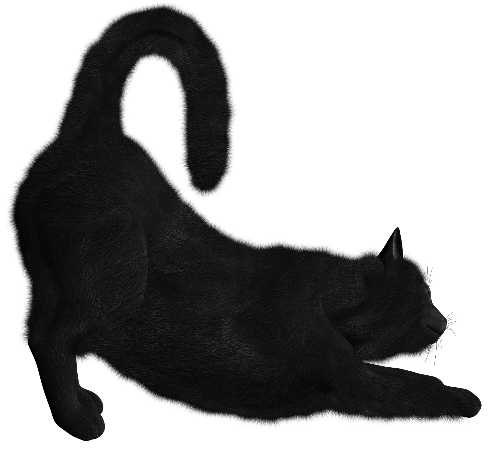 Black Cat Png Image PNG Image