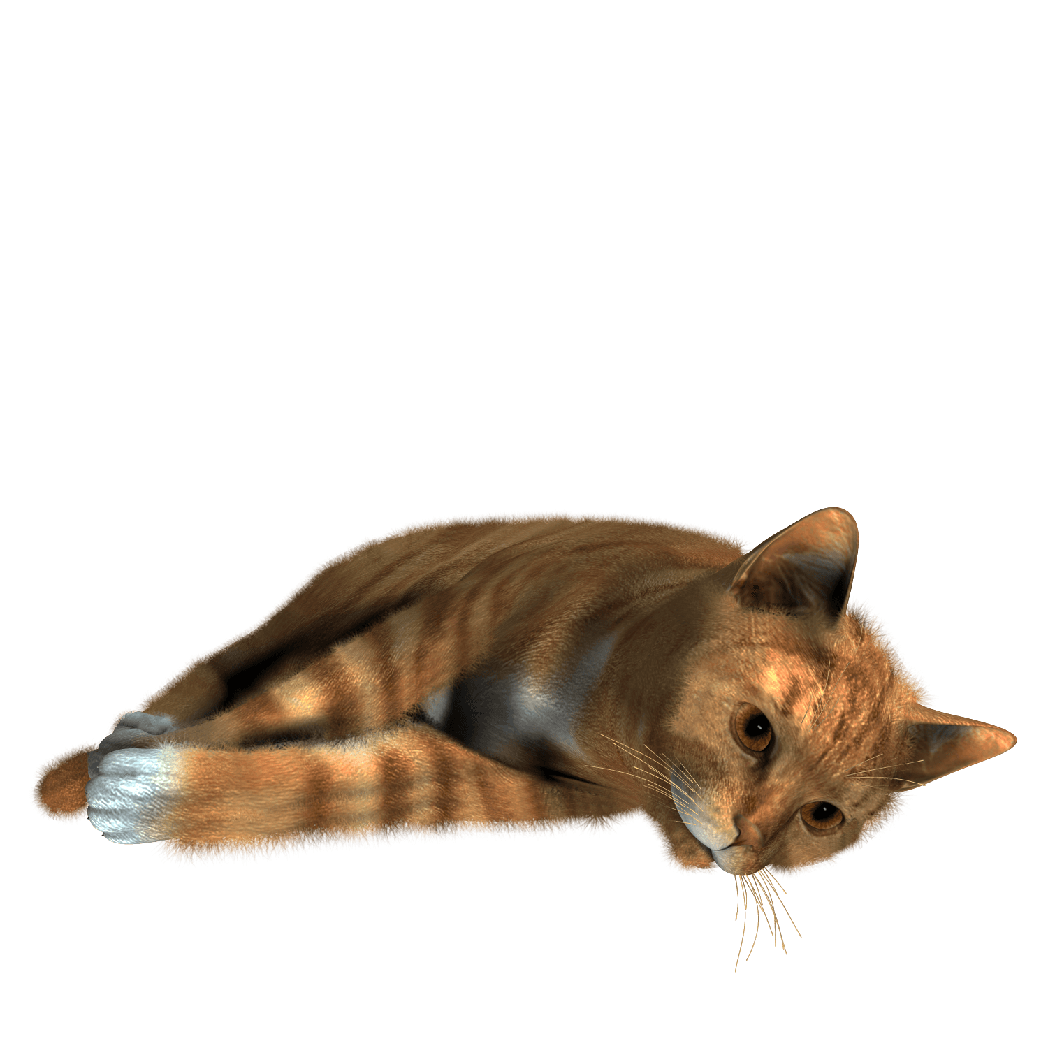 Cat Png Image PNG Image