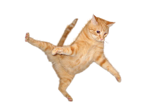 Cat Jump PNG Image