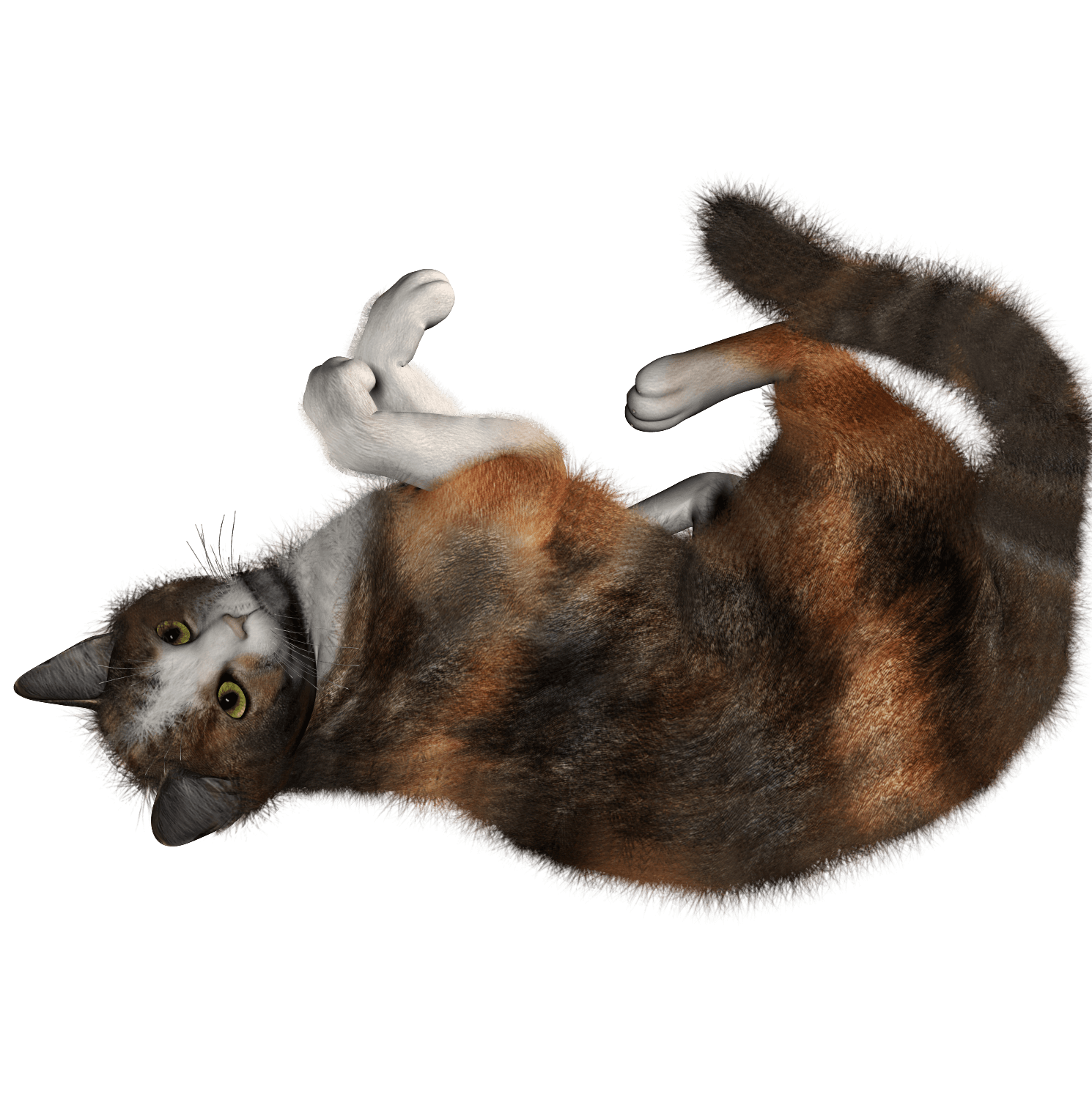 Cat Png Image PNG Image