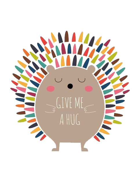 Hug Text Material Cat European Hedgehog PNG Image