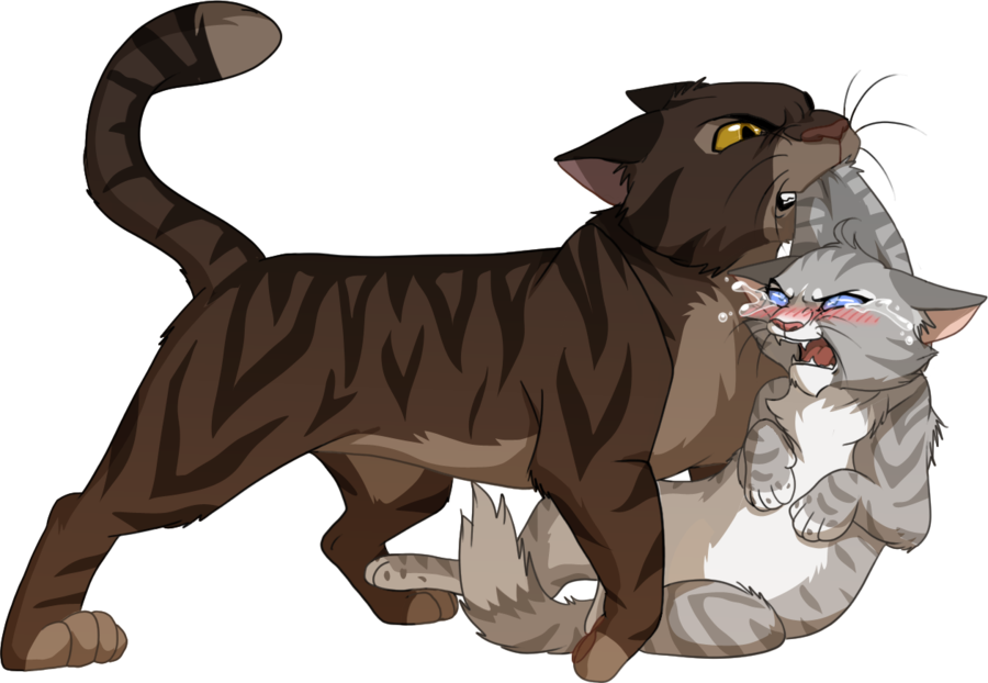 Warriors Leafpool Fur Wildlife Brambleclaw HQ Image Free PNG PNG Image