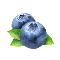 Blueberry Image