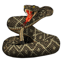 Rattlesnake Image