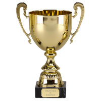 Trophy Image