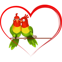 Love Birds Image