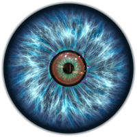 Eye Image