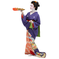Geisha Image