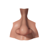 Nose Image