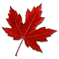 Maple Leaf Image