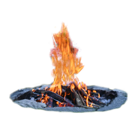 Campfire Image