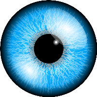 Eye Image