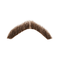 Moustache Image