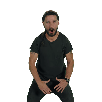 Shia Labeouf Image