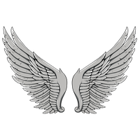 Wings Tattoos Image
