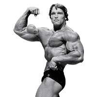 Arnold Schwarzenegger Image