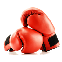 Boxing Gloves Image