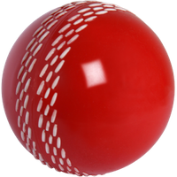 Cricket Ball Image