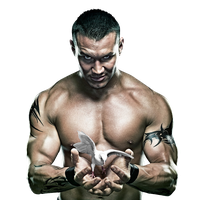 Randy Orton Image