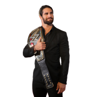 Seth Rollins Image