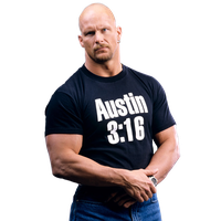 Steve Austin Image