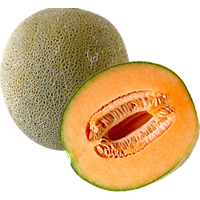 Cantaloupe Image